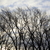 Image-square_50