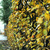 Image-square_50
