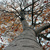 Image-square_50