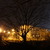 Image-square_50