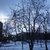 Image-square_50