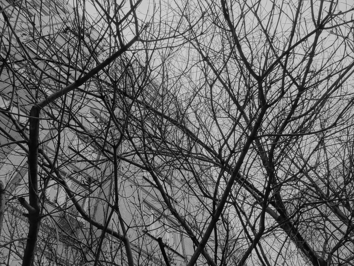 Image-normal