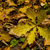 Image-square_50