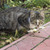 Image-square_50