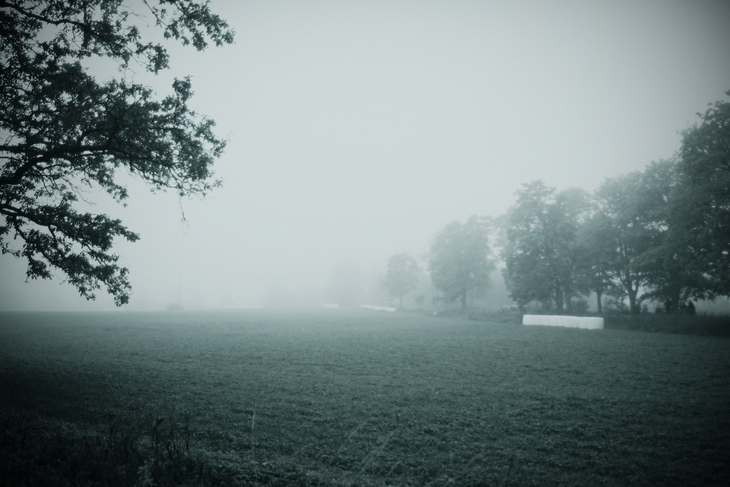Image-normal