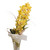 Image-square_50