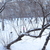 Image-square_50
