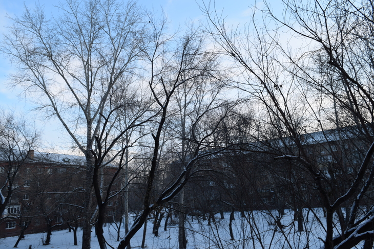 Image-normal