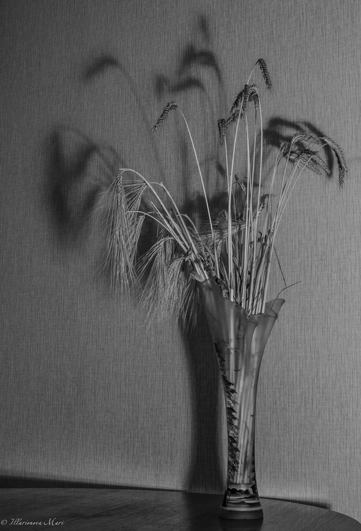Image-normal