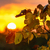 Image-square_50