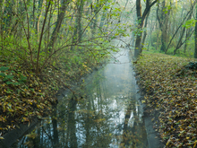 Image-rectangle_220_165