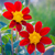 Image-square_50