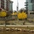 Image-square_50