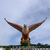 Image-square_50