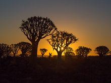 Image-rectangle_220_165