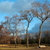 Image-square_50