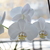 Image-square_50