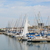 Image-square_50