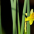 Image-square_50