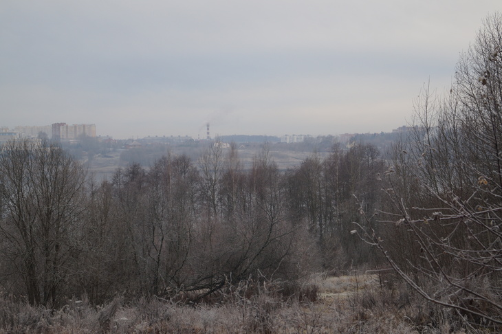 Image-normal