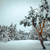 Image-square_50