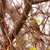 Image-square_50