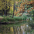 Image-square_50
