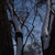 Image-square_50
