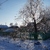 Image-square_50