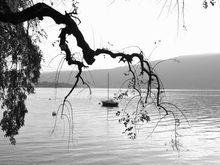 Image-rectangle_220_165