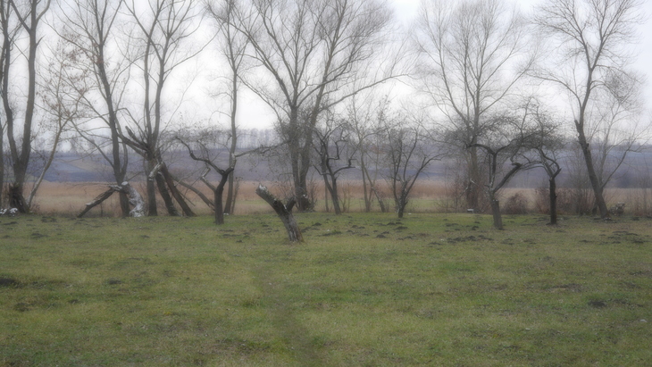 Image-normal