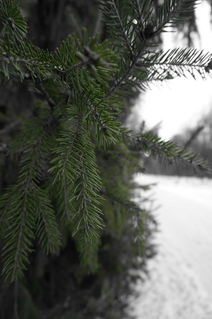 Image-normal