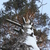 Image-square_50