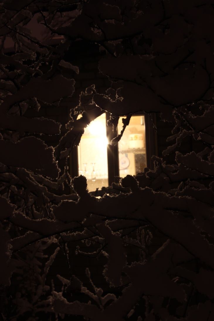 Image-normal
