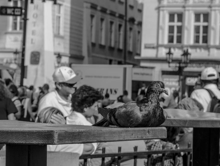 Image-normal