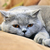 Image-square_50