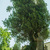Image-square_50