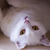Image-square_50