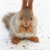 Image-square_50