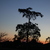 Image-square_50