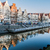 Image-square_50