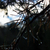 Image-square_50