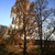 Image-square_50