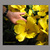 Image-square_50