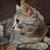 Image-square_50