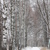 Image-square_50