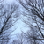 Image-square_50