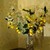Image-square_50