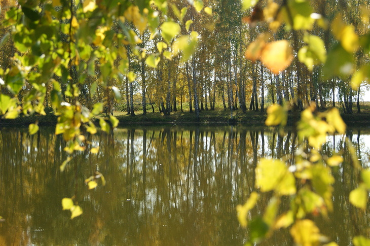 Image-normal