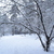 Image-square_50